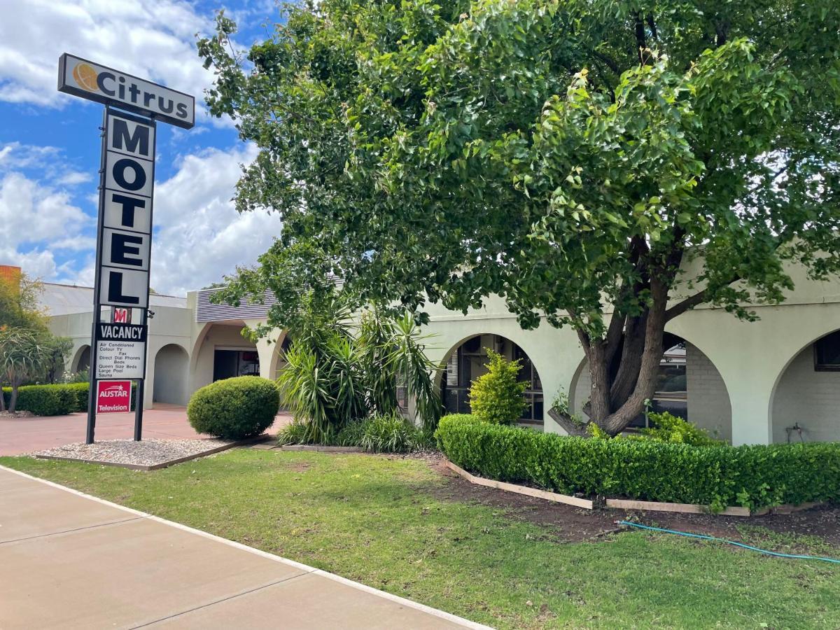 Citrus Motel Griffith Exterior foto